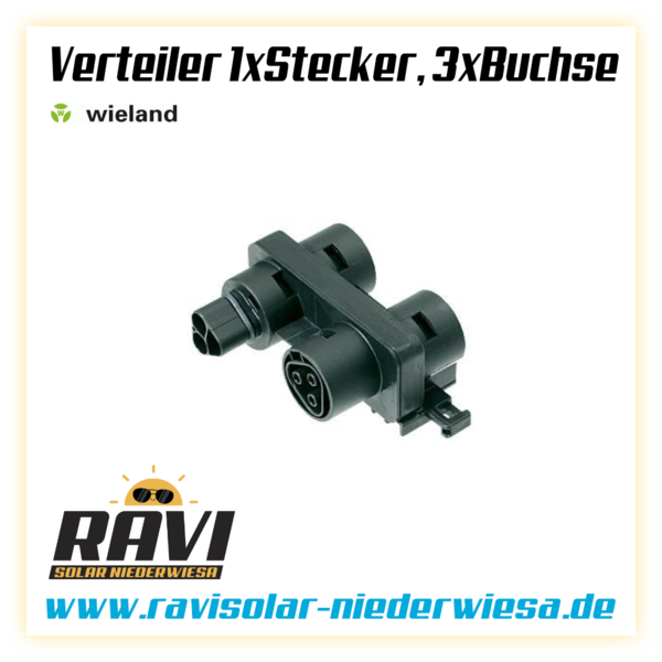 Wieland Verteiler - 1xStecker 3xBuchse - RST20I3V 3P1 V SW