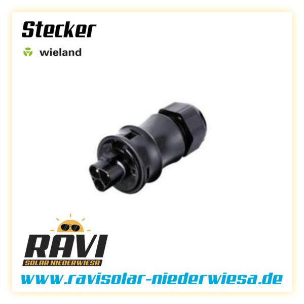 Wieland Stecker STECKVERBINDER RST20I3S RST20 3S S1 ZR2 SW